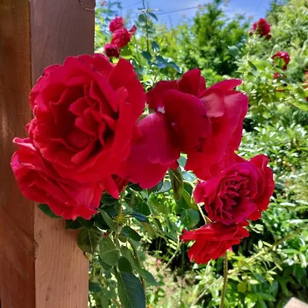 Holiday home Szalakota Haz *