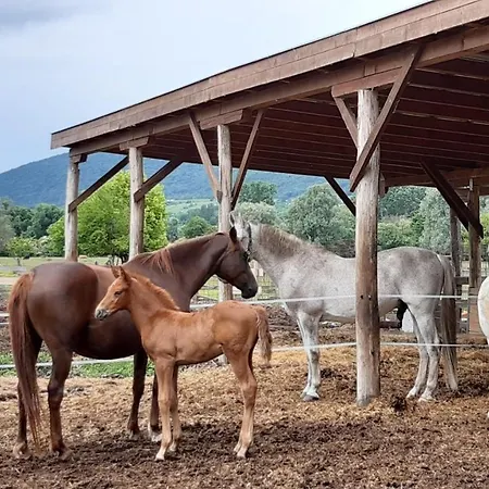 Holiday home Szalakota Haz