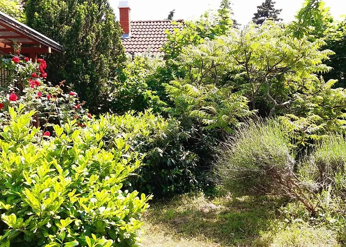 Szalakota Haz * Balatongyörök