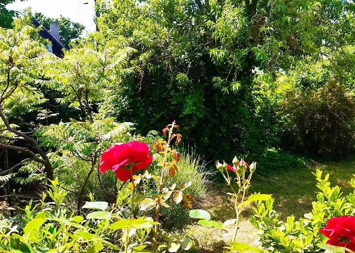 Szalakota Haz Casa de Férias *