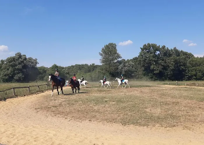 Szalakota Haz בית נופש