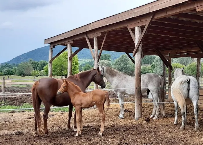 Casa de Férias Szalakota Haz